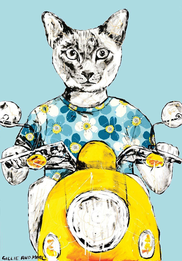 He thought I am one cool cat